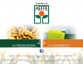 aeffefloricoltura
