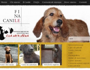 canile
