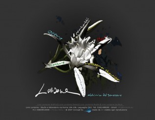 lovisone