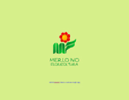 merlo