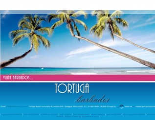 tortugabarbados