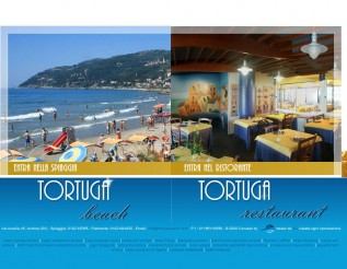 tortugabeach