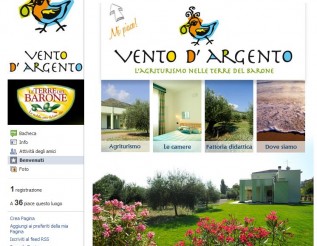 Social media - Vento d'Argento