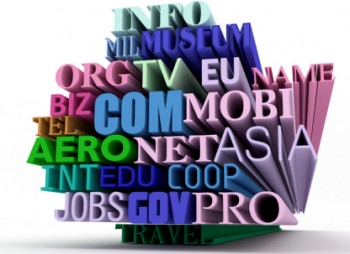 icanndomains